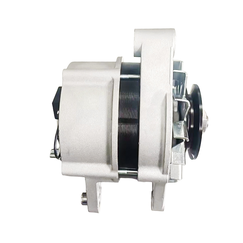 MG791 AAK4653 IA1616 11204629 72442837 AAK4653 12V 120A 8PK62mm ISKRA / LETRIKA Alternátory